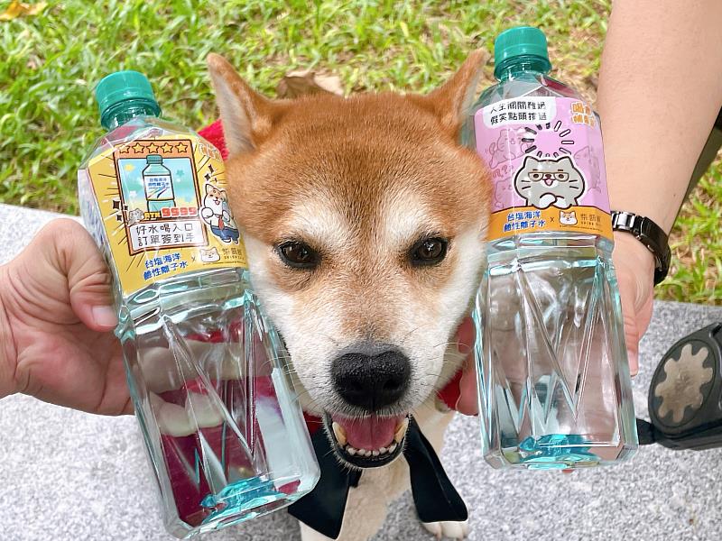 台塩海洋鹼性離子水攜手柴語錄推出限量聯名瓶,讓你喝水就能補「柴」氣!
